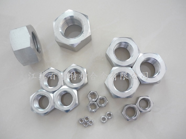 雙相不銹鋼F55(S32760/1.4501)螺母  雙相不銹鋼F55(S32760/1.4501)螺母